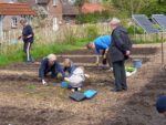 Gemeinschaftliches Teamwork im Garten der Sinne