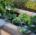 Naturnah dem Winter entgegensehen